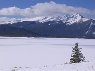 Dillon in the Winter